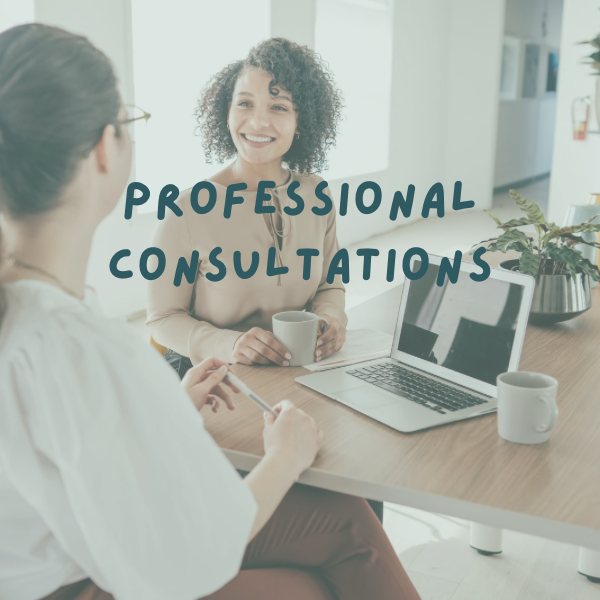 Private Practice Professional Consultation