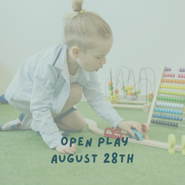 Vehicle Adventure Open Play