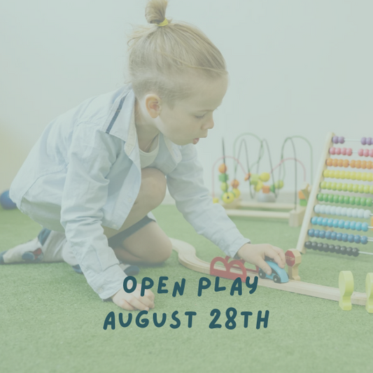 Vehicle Adventure Open Play