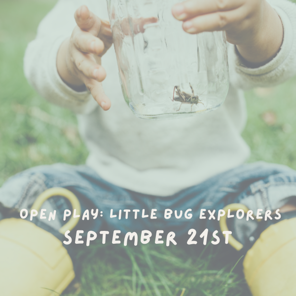 Open Play: Little Bug Explorers