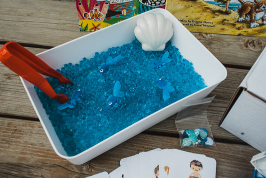 Beach Play Box - /f/ and pronouns